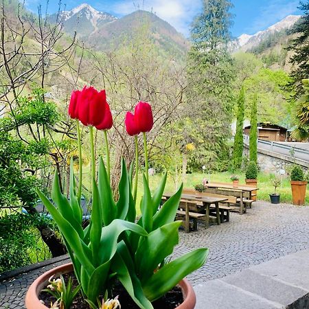 Tannerhof Bed & Breakfast Caines Exterior photo