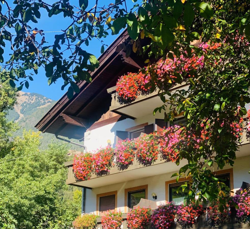 Tannerhof Bed & Breakfast Caines Exterior photo