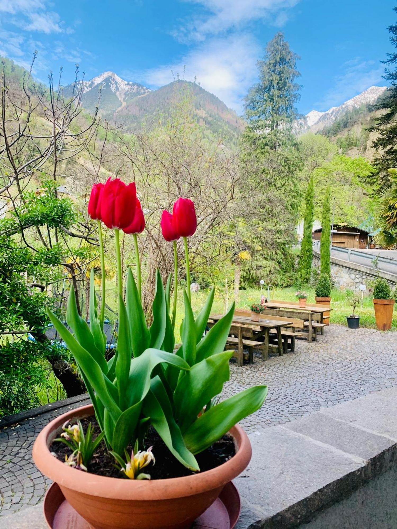 Tannerhof Bed & Breakfast Caines Exterior photo