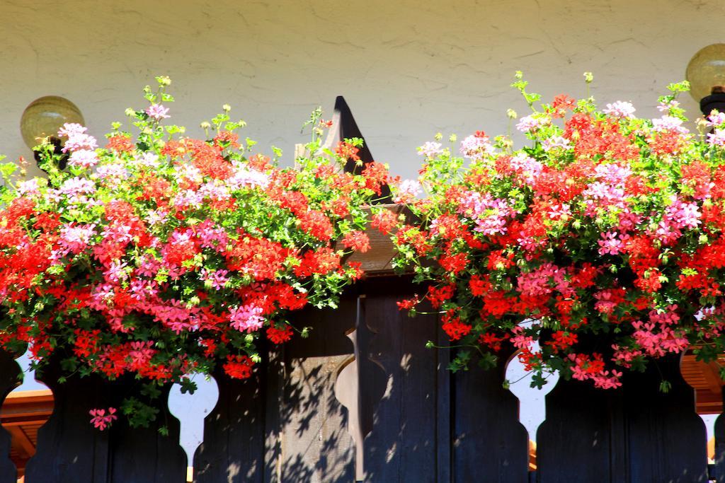 Tannerhof Bed & Breakfast Caines Exterior photo
